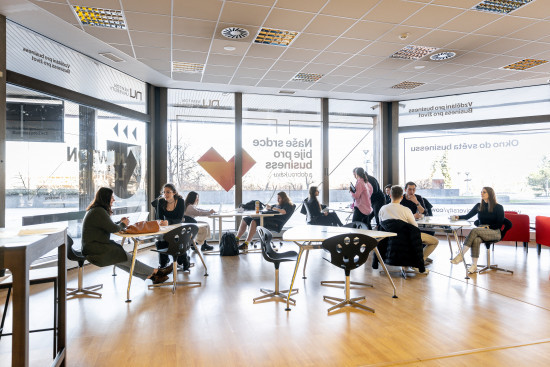 NEWTON University Coworking