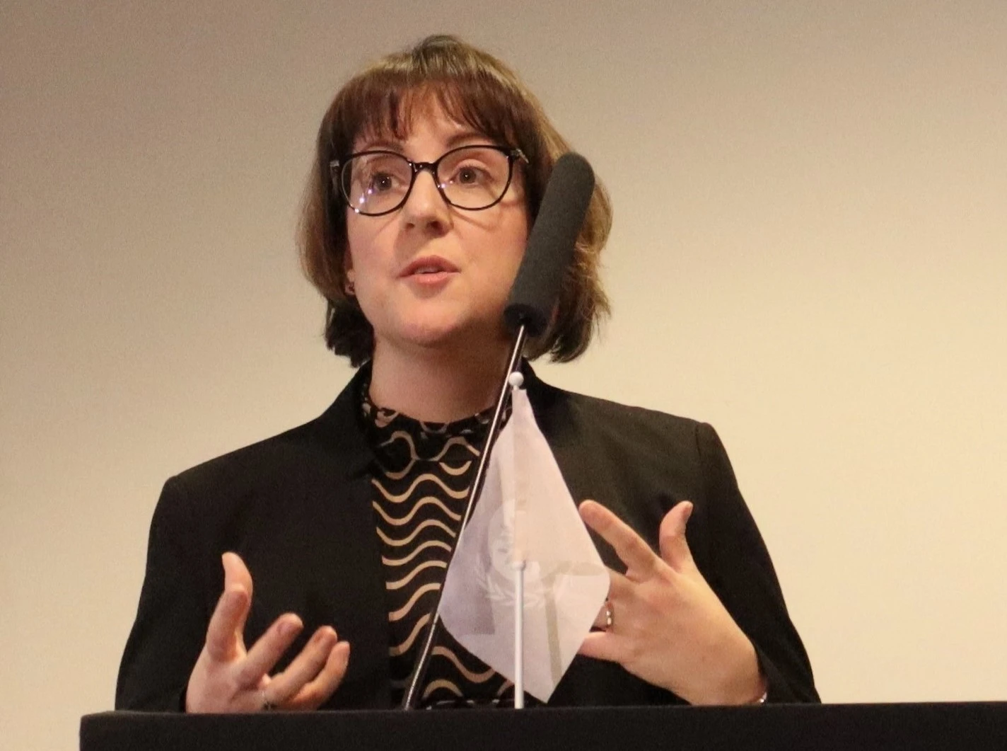 Rektorka na přednášcce